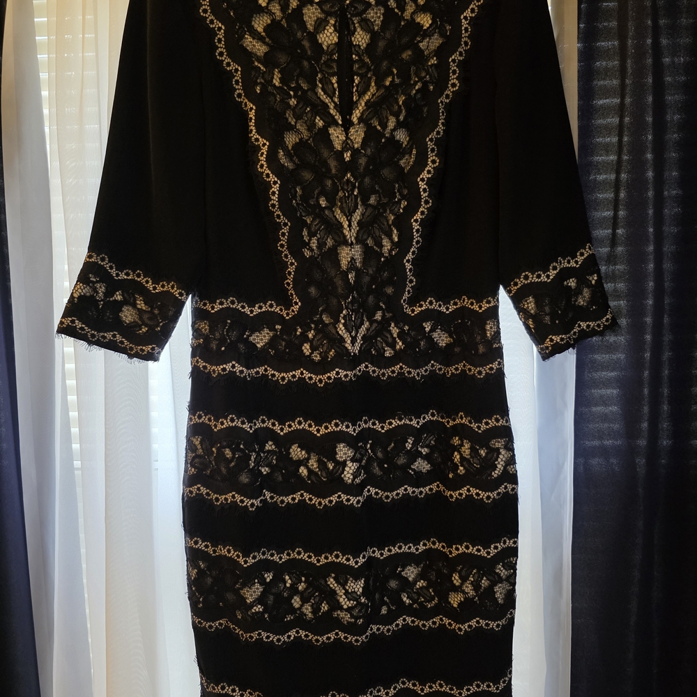 Tadashi Shoji Black and Cream Lace Dress - Picture 4 of 7